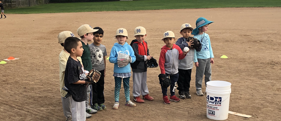 Free Baseball Clinic - Sunday, November 3