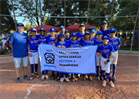 12's All Stars win Section 3 Championship